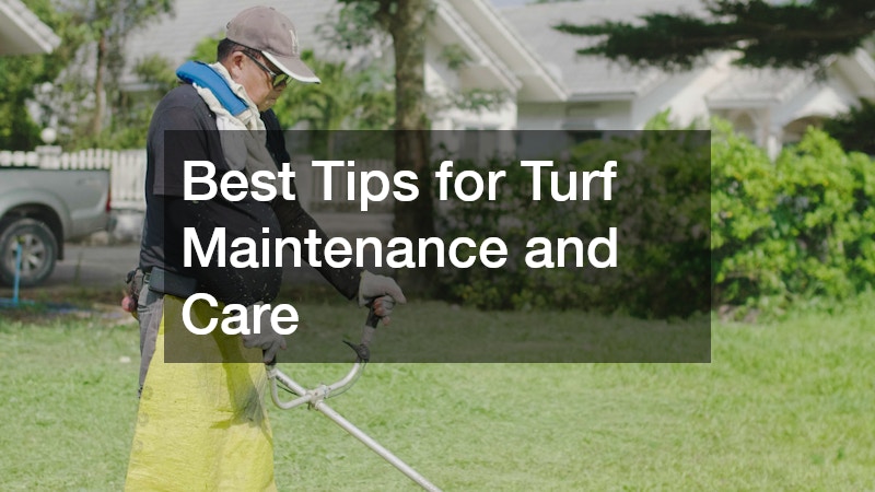 Best Tips for Turf Maintenance and Care