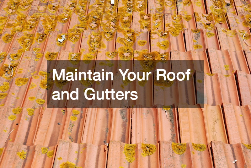 Maintain Your Roof and Gutters