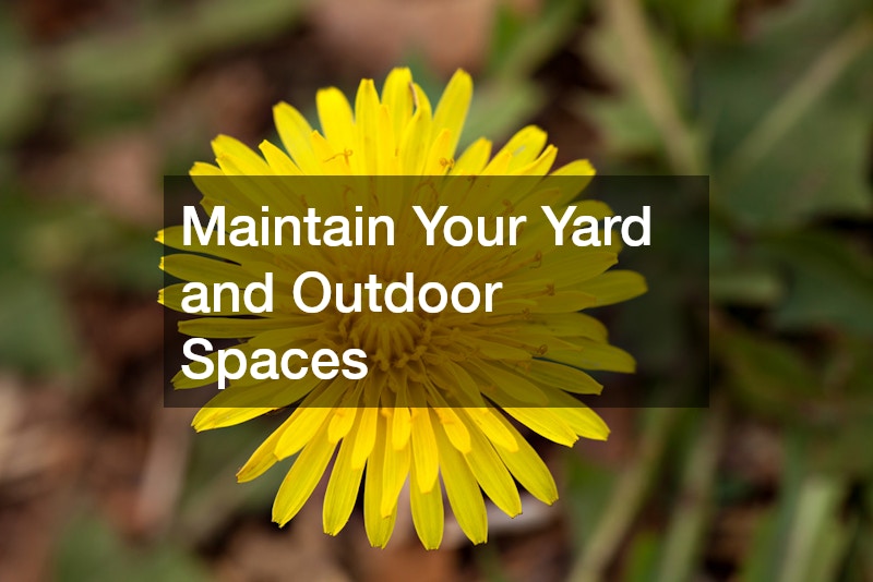 Maintain Your Yard and Outdoor Spaces