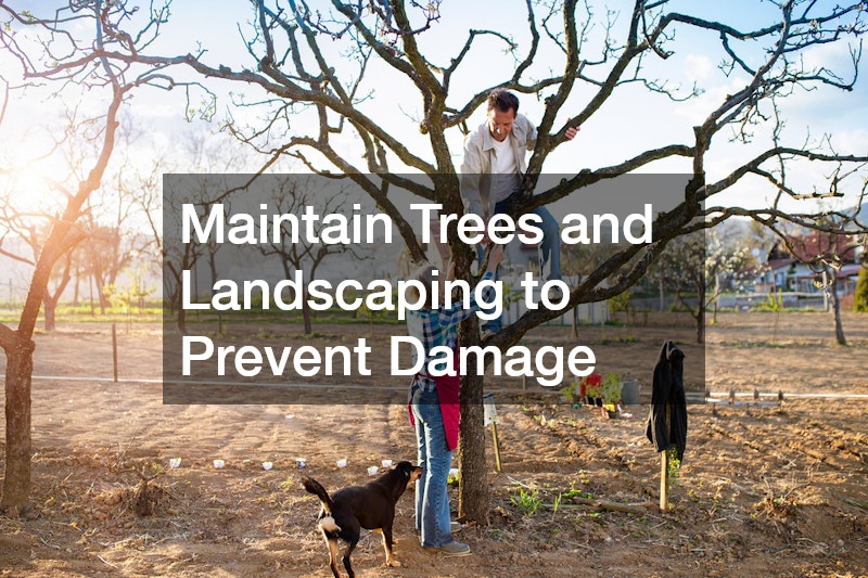 Maintain Trees and Landscaping to Prevent Damage