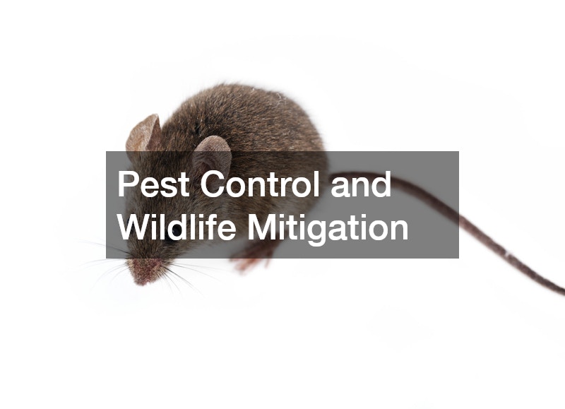 Pest Control and Wildlife Mitigation