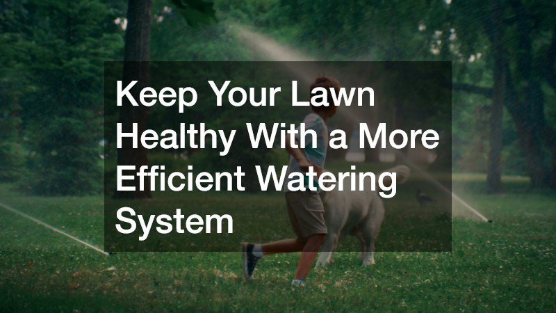 Keep Your Lawn Healthy With a More Efficient Watering System