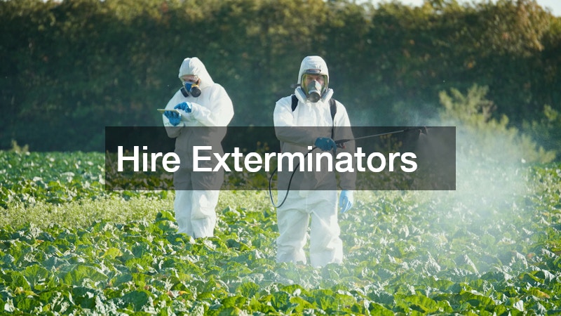 Hire Exterminators