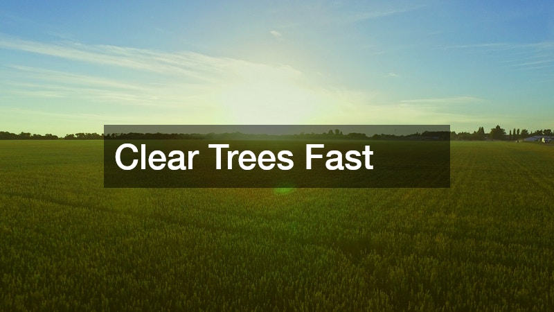 Clear Trees Fast