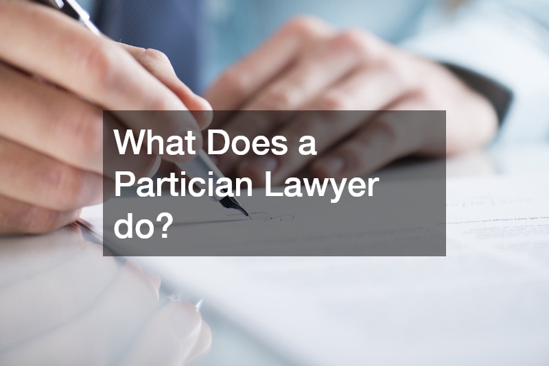 What Does a Partician Lawyer do?
