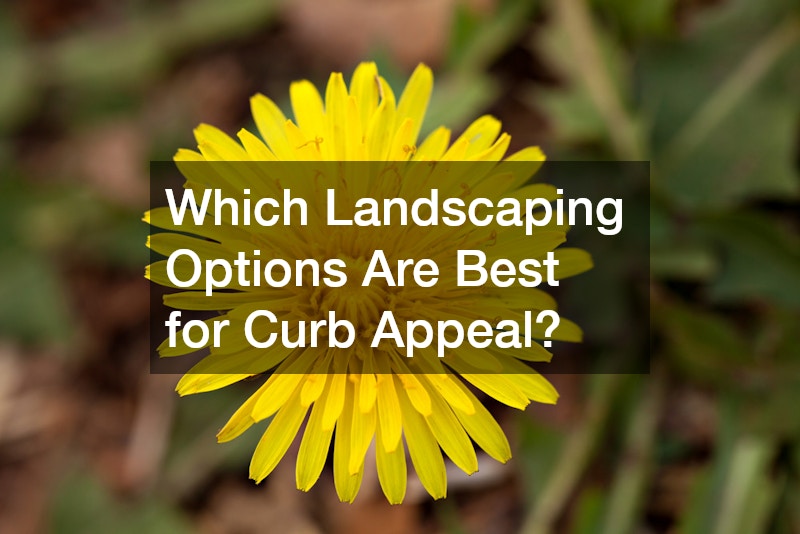 Which Landscaping Options Are Best for Curb Appeal?