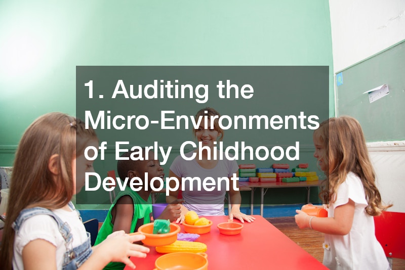 1. Auditing the Micro-Environments of Early Childhood Development