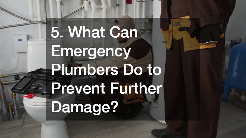5. What Can Emergency Plumbers Do to Prevent Further Damage?