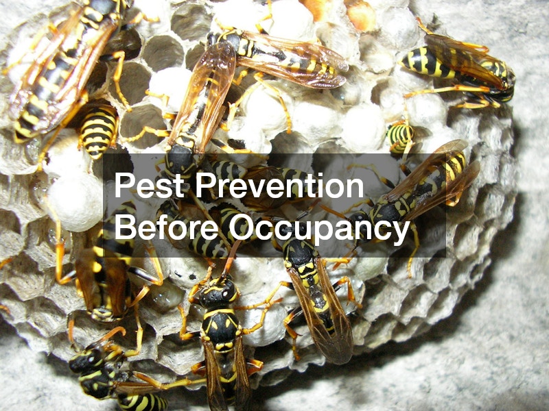 Pest Prevention Before Occupancy