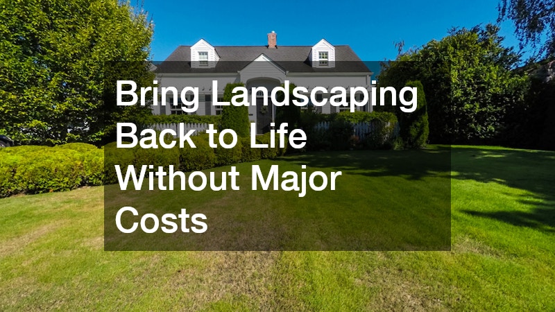 Bring Landscaping Back to Life Without Major Costs