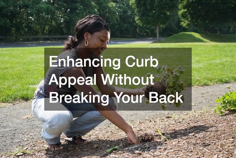 Enhancing Curb Appeal Without Breaking Your Back