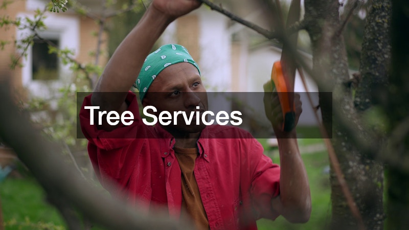 Tree Services