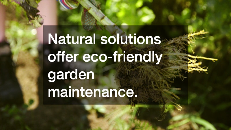 Natural solutions offer eco-friendly garden maintenance.