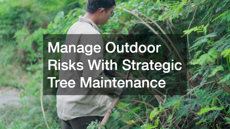 Manage Outdoor Risks With Strategic Tree Maintenance