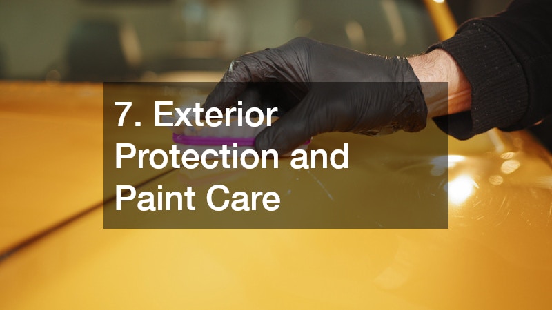 7. Exterior Protection and Paint Care
