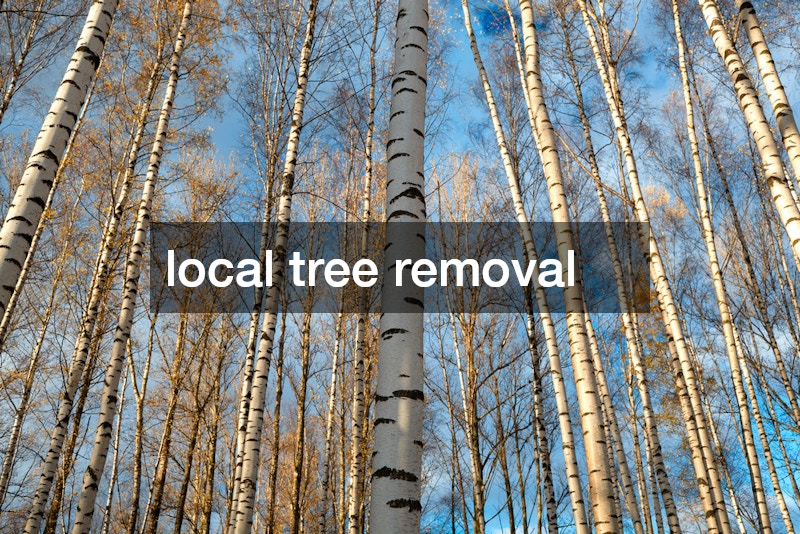 local tree removal