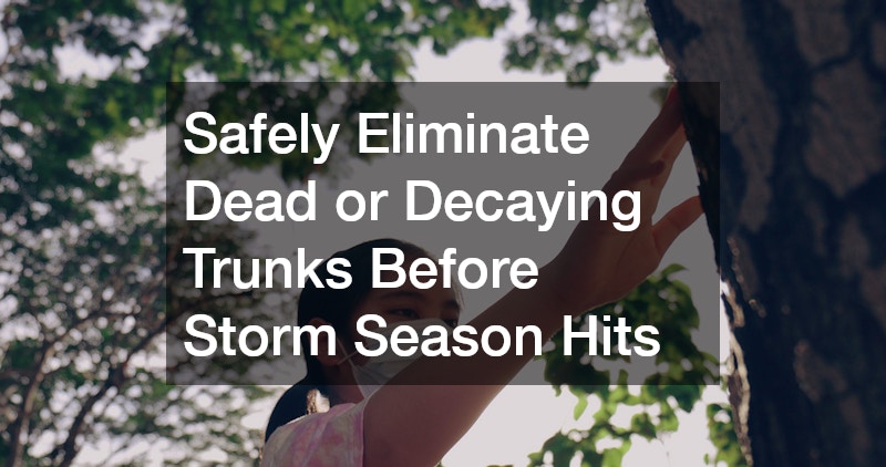 Safely Eliminate Dead or Decaying Trunks Before Storm Season Hits