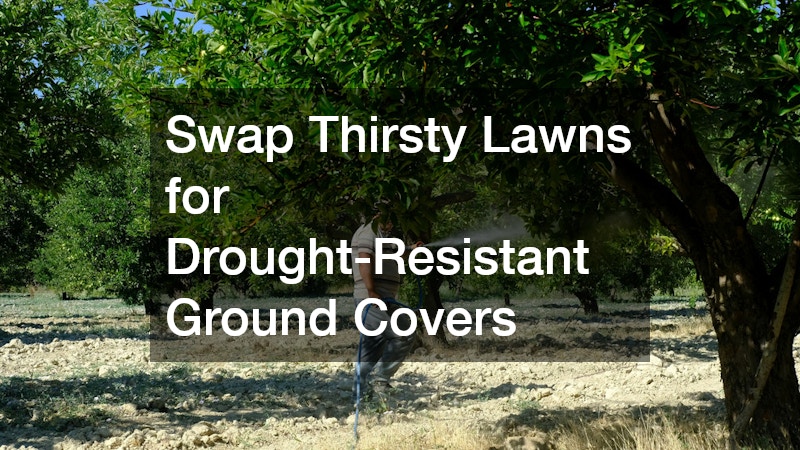Swap Thirsty Lawns for Drought-Resistant Ground Covers