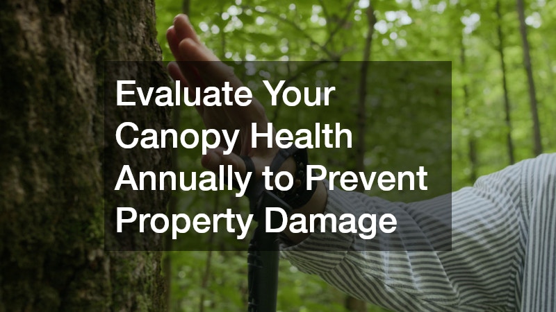 Evaluate Your Canopy Health Annually to Prevent Property Damage