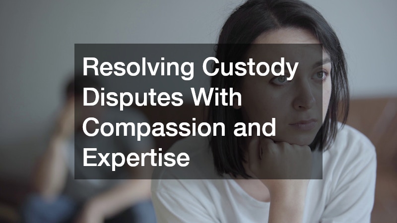 Resolving Custody Disputes With Compassion and Expertise