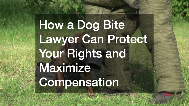 How a Dog Bite Lawyer Can Protect Your Rights and Maximize Compensation