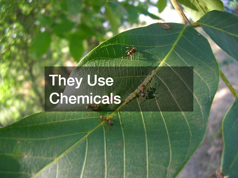 They Use Chemicals 