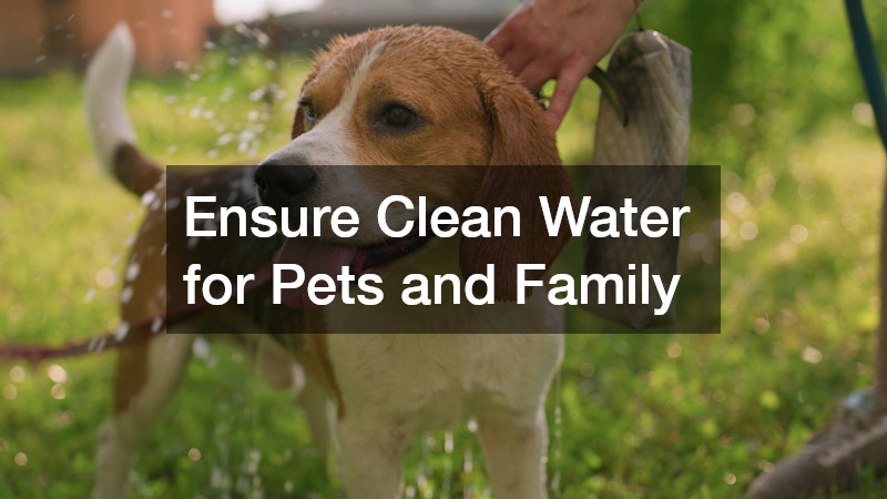 Ensure Clean Water for Pets and Family