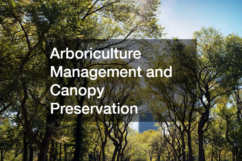 Arboriculture Management and Canopy Preservation