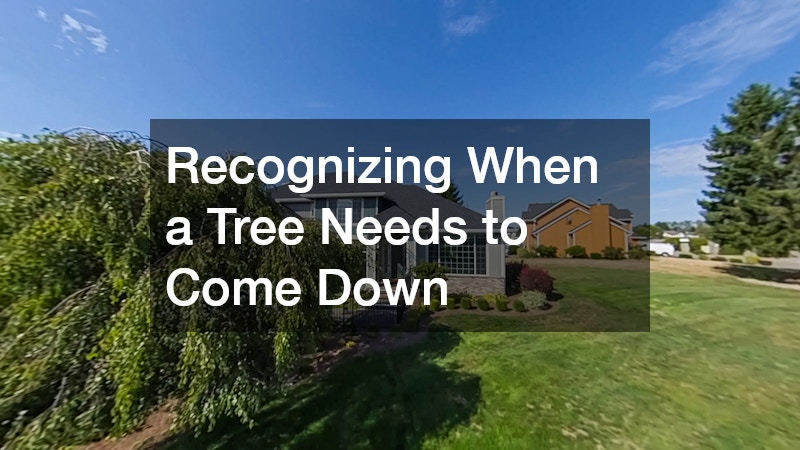 Recognizing When a Tree Needs to Come Down
