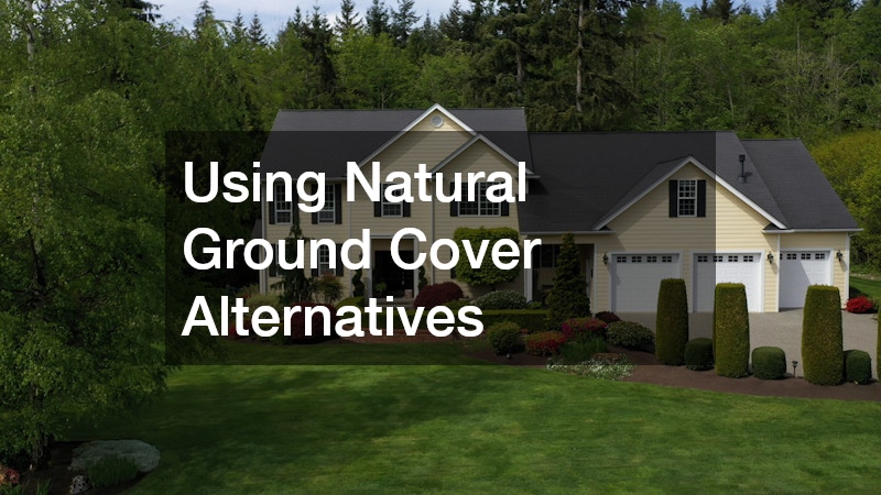 Using Natural Ground Cover Alternatives