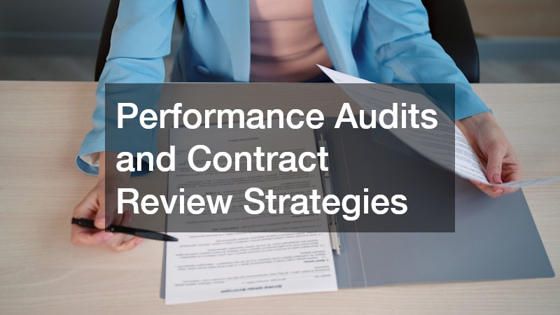 Performance Audits and Contract Review Strategies