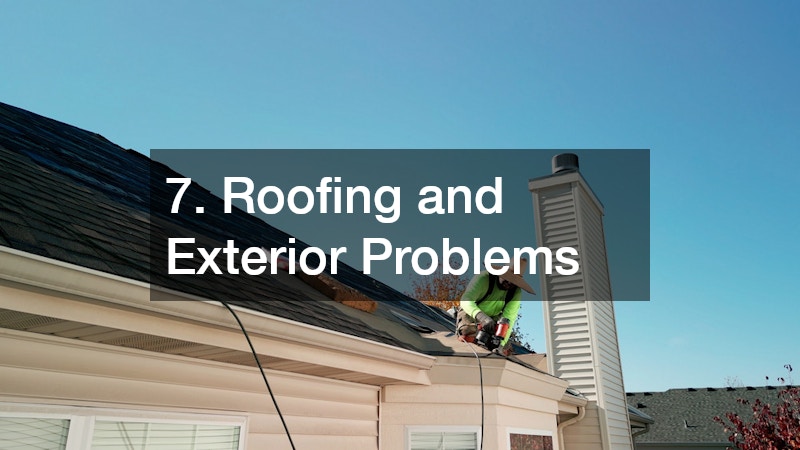 7. Roofing and Exterior Problems