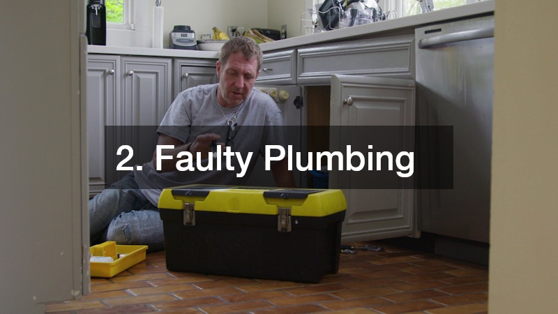 2. Faulty Plumbing