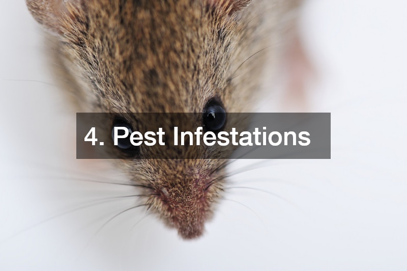 4. Pest Infestations