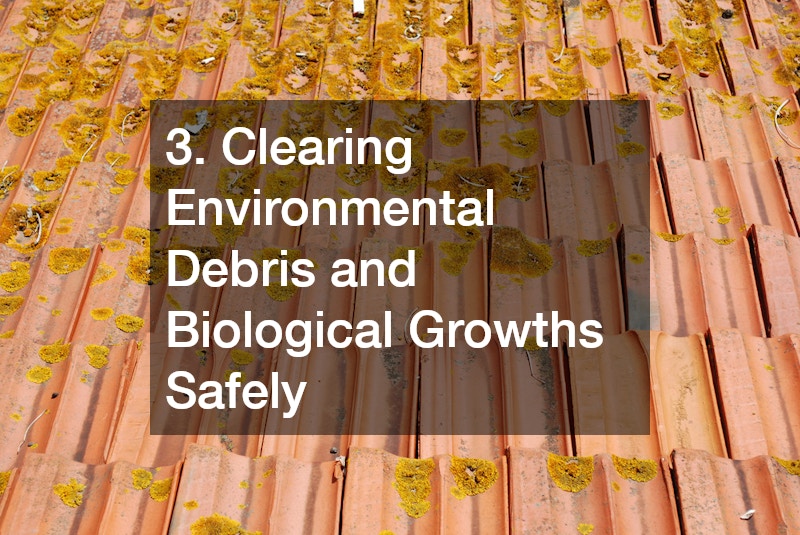 3. Clearing Environmental Debris and Biological Growths Safely