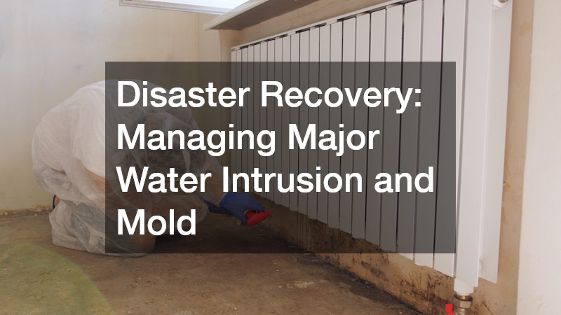 Disaster Recovery: Managing Major Water Intrusion and Mold