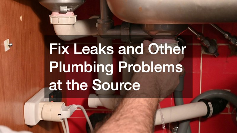 Fix Leaks and Other Plumbing Problems at the Source