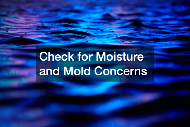 Check for Moisture and Mold Concerns