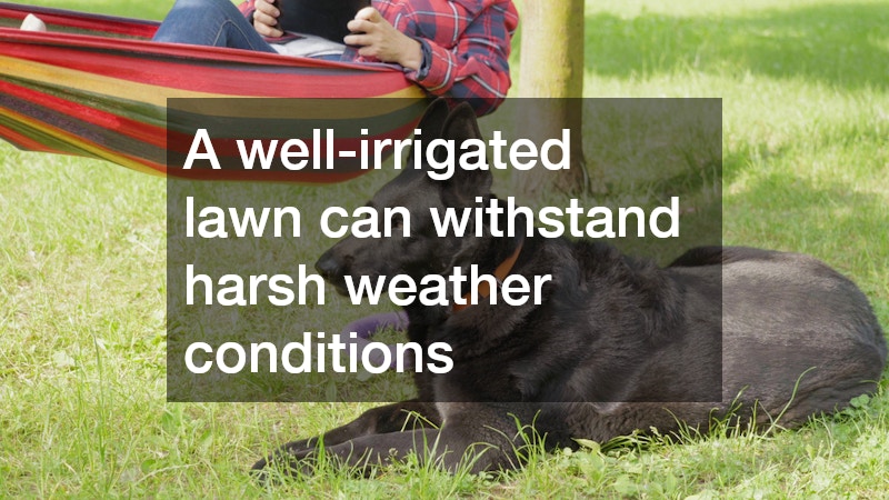 A well-irrigated lawn can withstand harsh weather conditions
