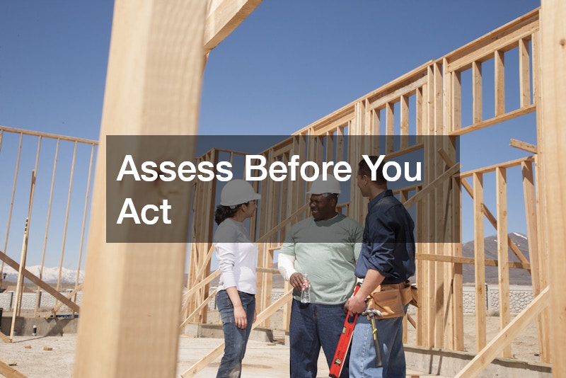 Assess Before You Act
