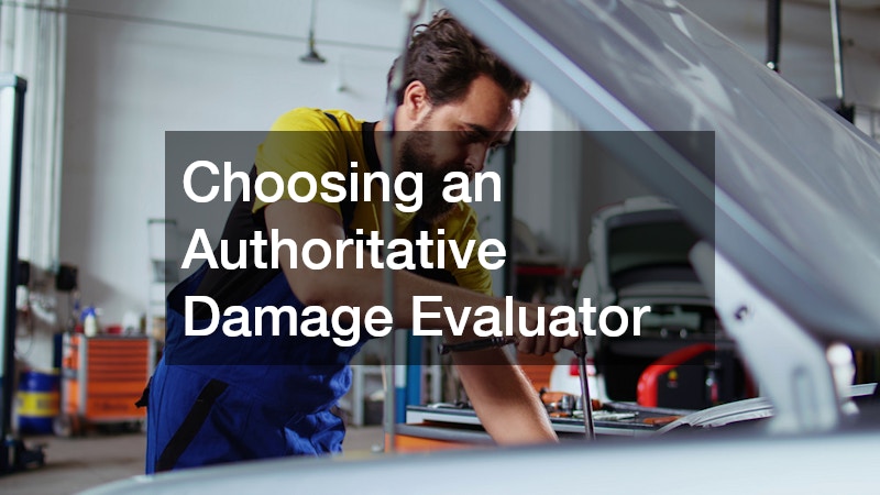 Choosing an Authoritative Damage Evaluator
