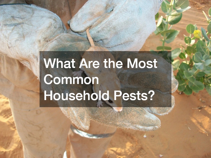 What Are the Most Common Household Pests?