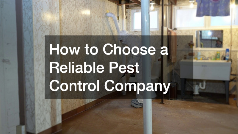 How to Choose a Reliable Pest Control Company