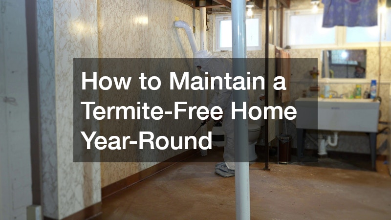 How to Maintain a Termite-Free Home Year-Round