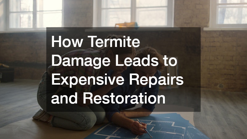How Termite Damage Leads to Expensive Repairs and Restoration