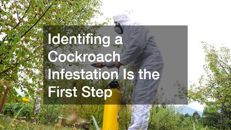 Identifing a Cockroach Infestation Is the First Step