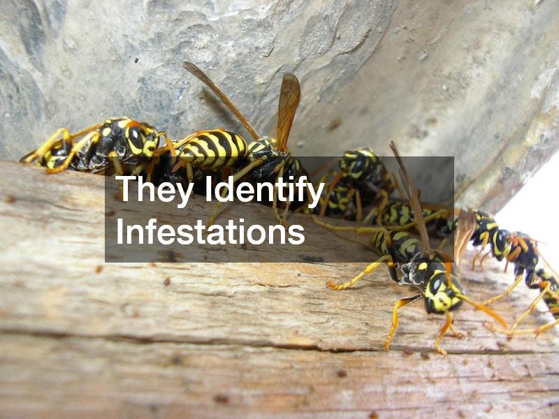 They Identify Infestations