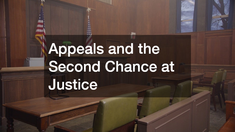 Appeals and the Second Chance at Justice