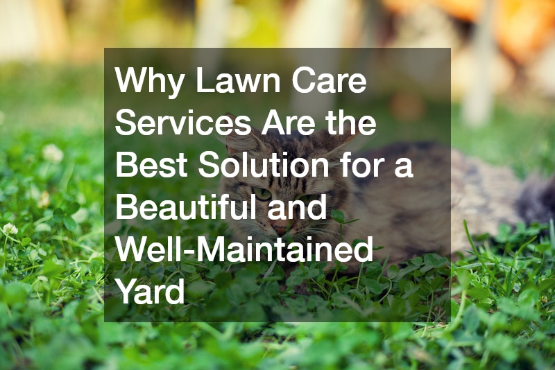 Why Lawn Care Services Are the Best Solution for a Beautiful and Well-Maintained Yard