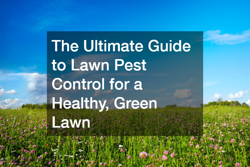The Ultimate Guide to Lawn Pest Control for a Healthy, Green Lawn